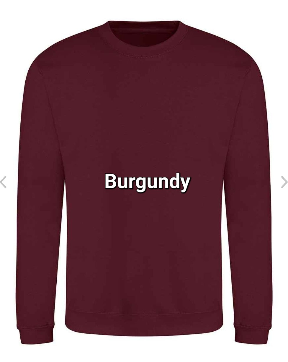 TIMID BOOKWORM SWEATSHIRT