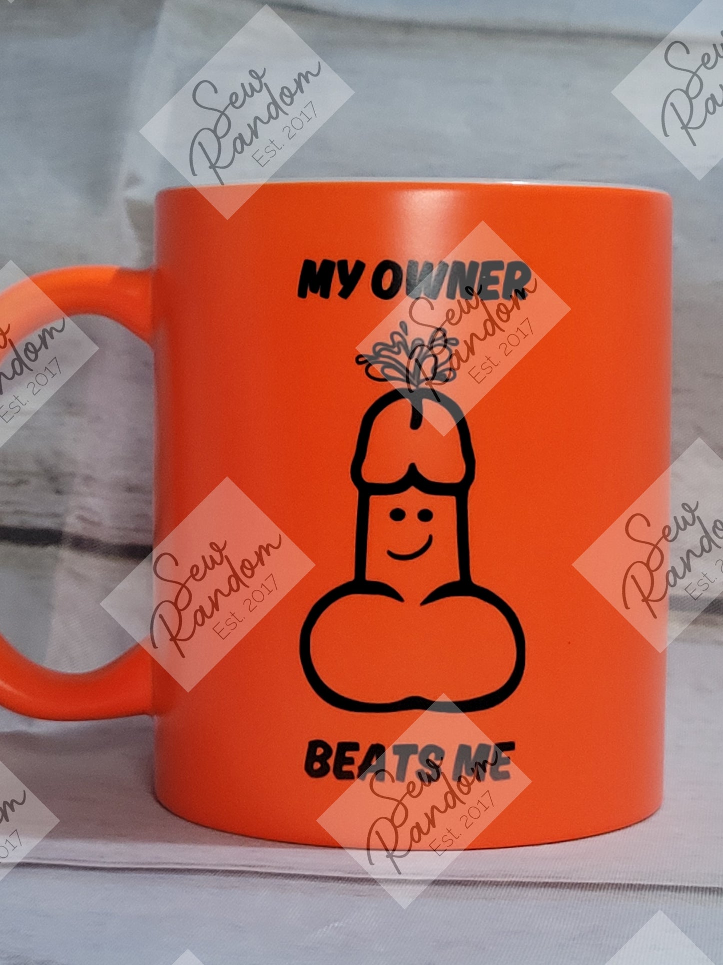 MY OWNER BEATS ME MUG